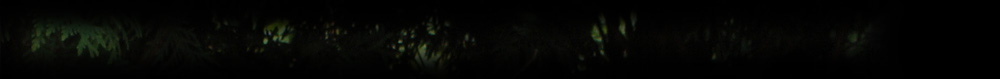 Tree Banner